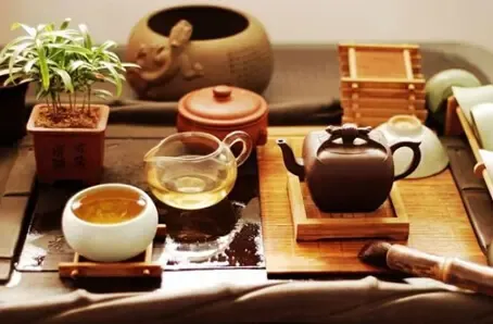 茶香四溢，健康同行：品茶七大益处揭秘